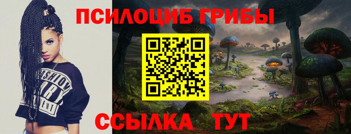 Псилоцибиновые грибы мицелий Кемерово