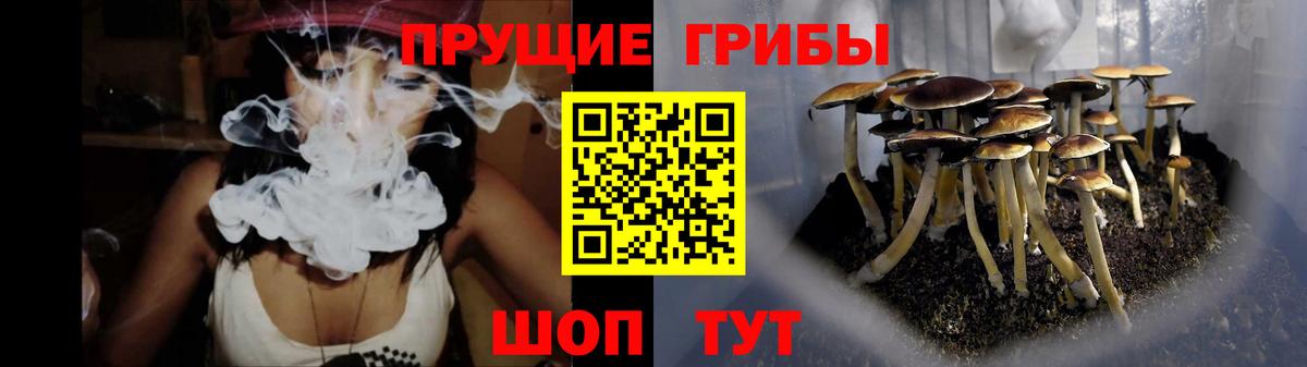 Галлюциногенные грибы Psilocybine cubensis  Вход с VPN  Псилоцибиновые грибы прущие грибы  Кемерово 